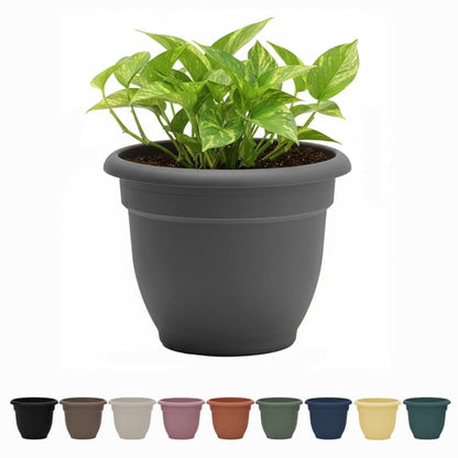 Ariana 12" Self-Watering Plastic Planter - Rolled Rim Indoor/Outdoor Garden Pot, Charcoal