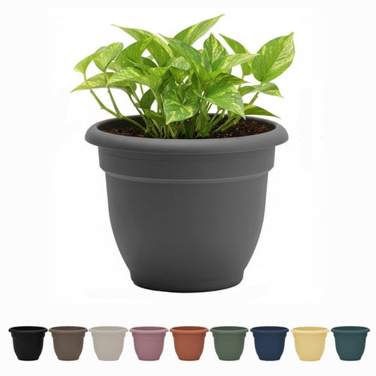 Ariana 12" Self-Watering Plastic Planter - Rolled Rim Indoor/Outdoor Garden Pot, Charcoal