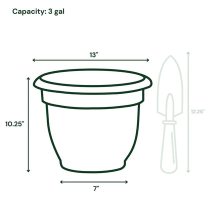 Ariana 12" Self-Watering Plastic Planter - Rolled Rim Indoor/Outdoor Garden Pot, Charcoal
